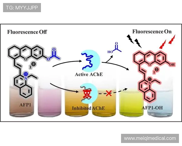 优发娱乐安全保障措施详解确保玩家资金与信息安全的关键策略 优发娱乐安全保障措施详解确保玩家资金与信息安全的关键策略
